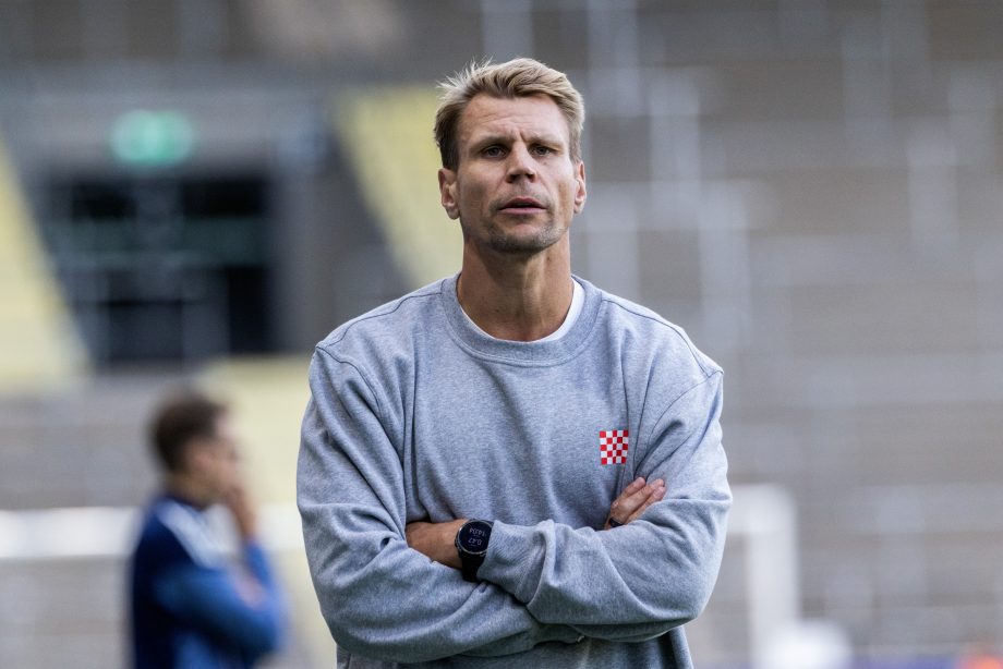 Collegetröja grå